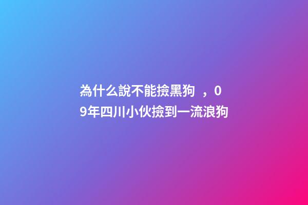 為什么說不能撿黑狗，09年四川小伙撿到一流浪狗